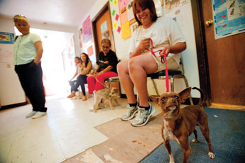 Anyo, a curious Chihuahua, examines a photographer from the Independent at the Veterinary Clinic in Window Rock on Thursday. "We are here for vaccinations today, Anyo's owner Cheri Arnold said. © 2011 Gallup Independent / Adron Gardner 